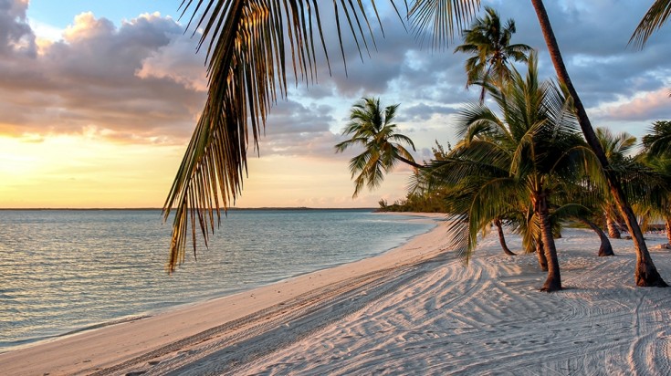 a photo of a beach